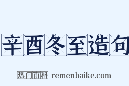 辛酉冬至造句是什么意思的图片